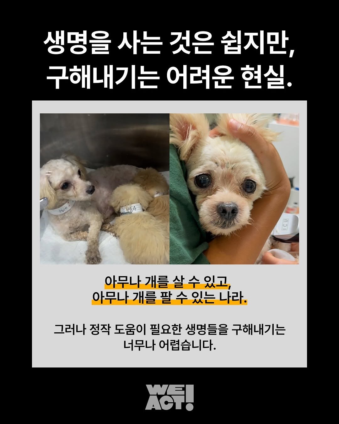상세 사진 5