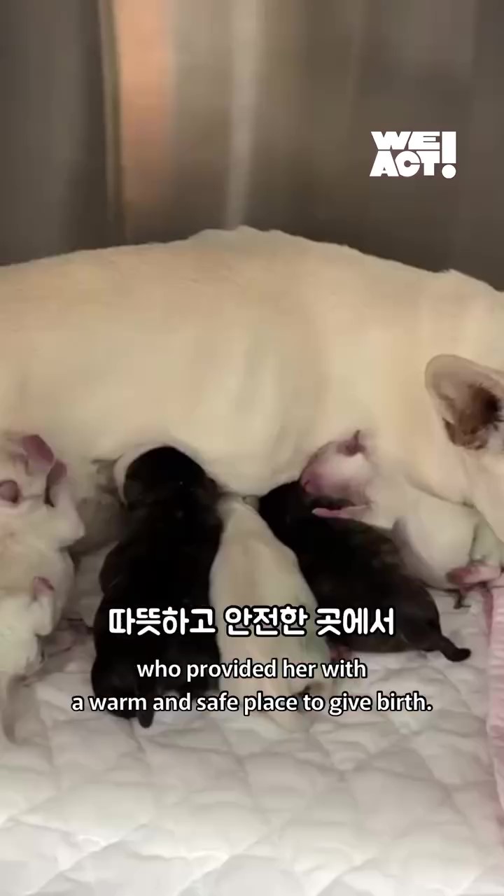 상세 사진 4