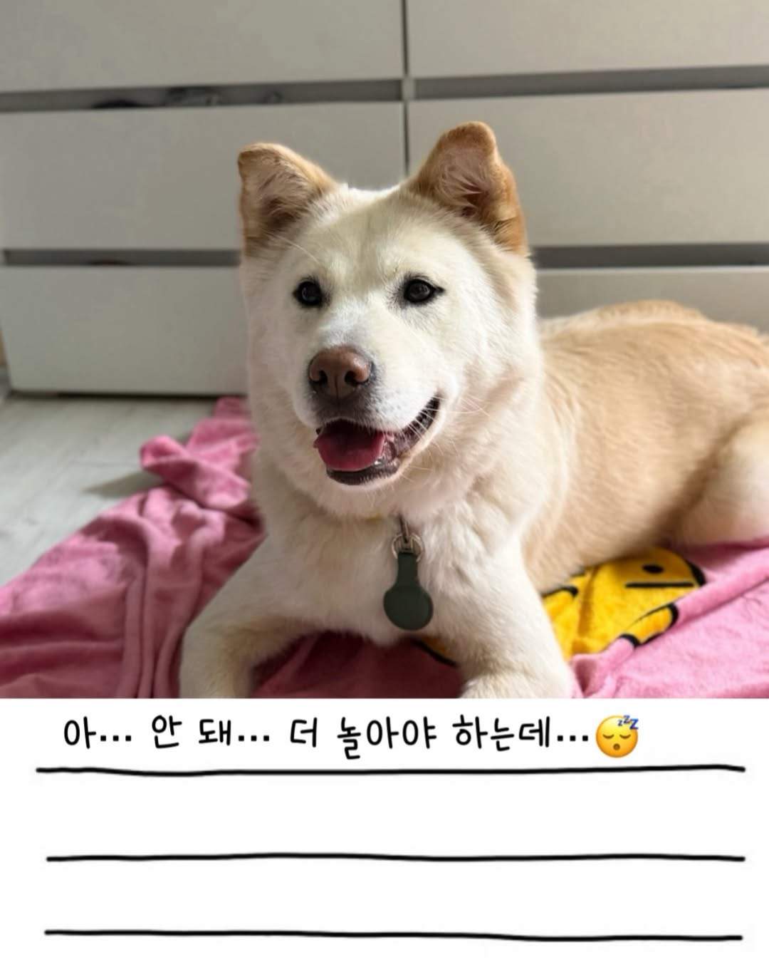 상세 사진 6