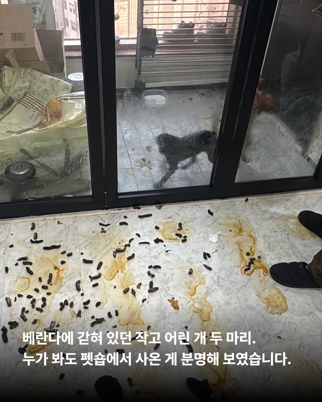 상세 사진 2