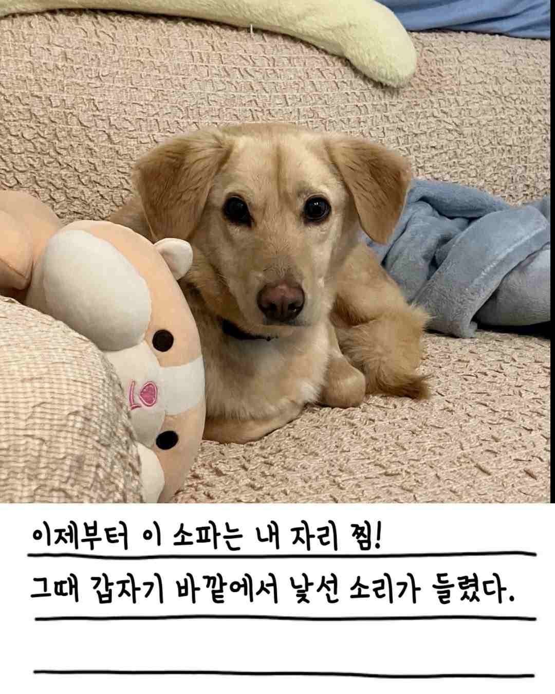 상세 사진 3