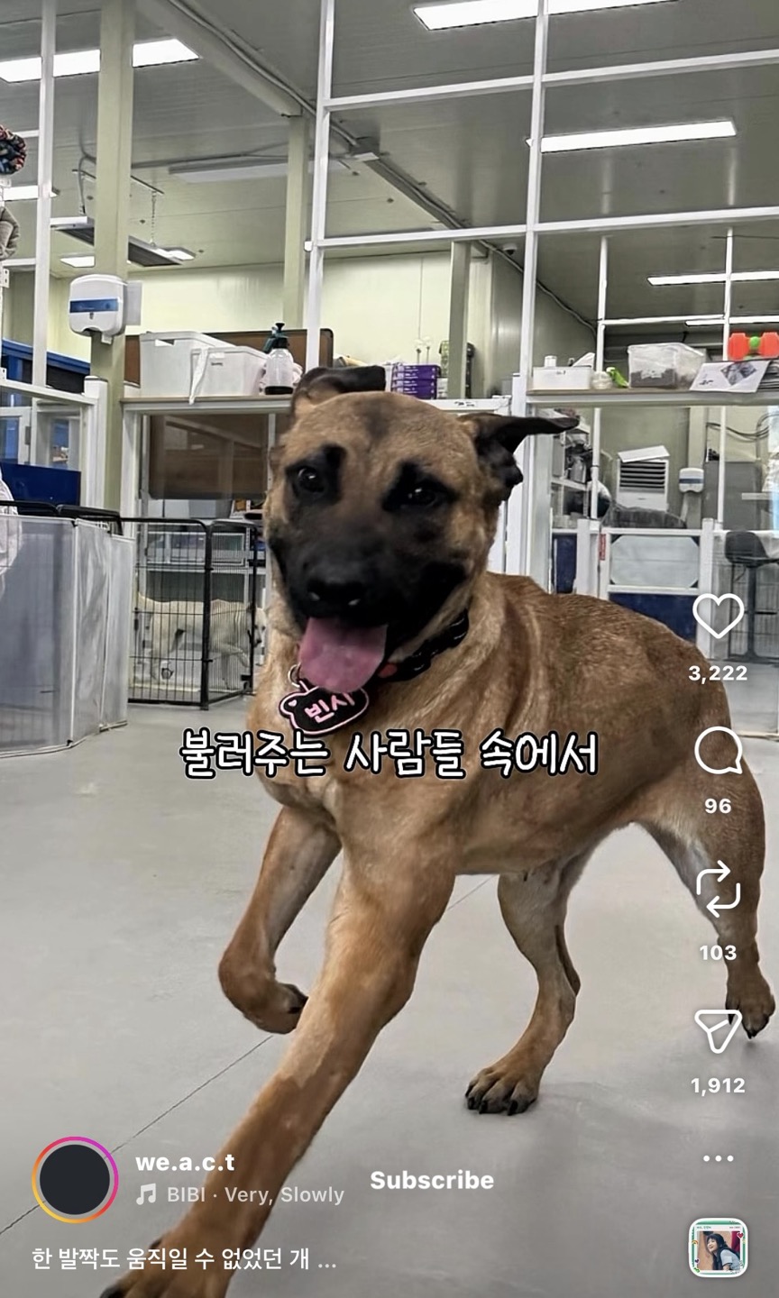 상세 사진 11
