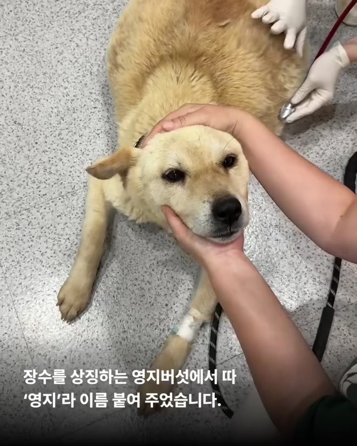 상세 사진 9