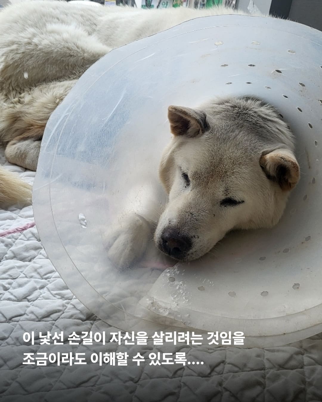 상세 사진 8