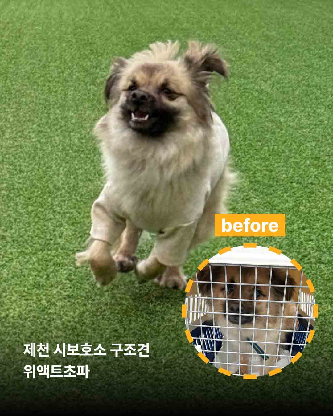 상세 사진 12