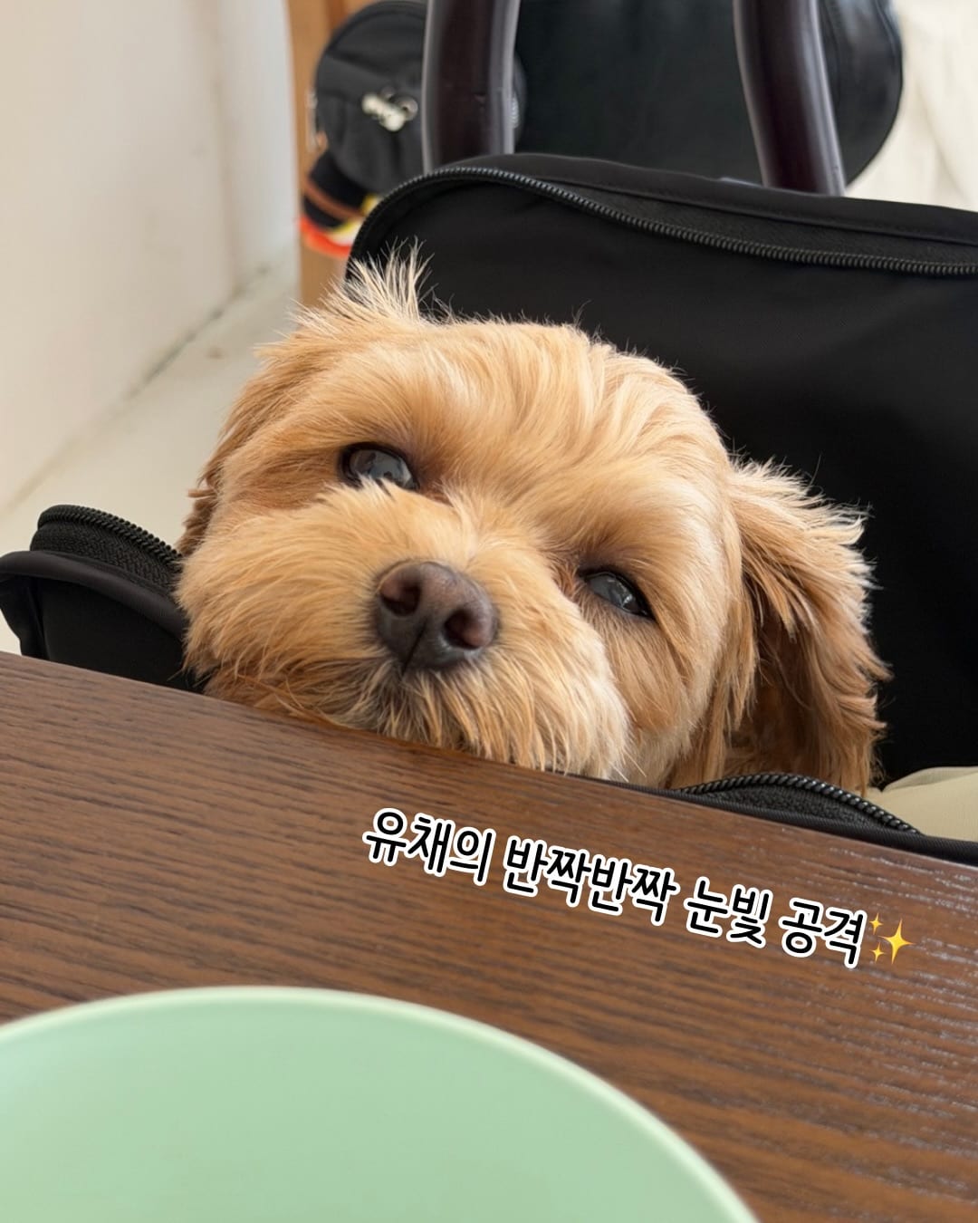 상세 사진 20