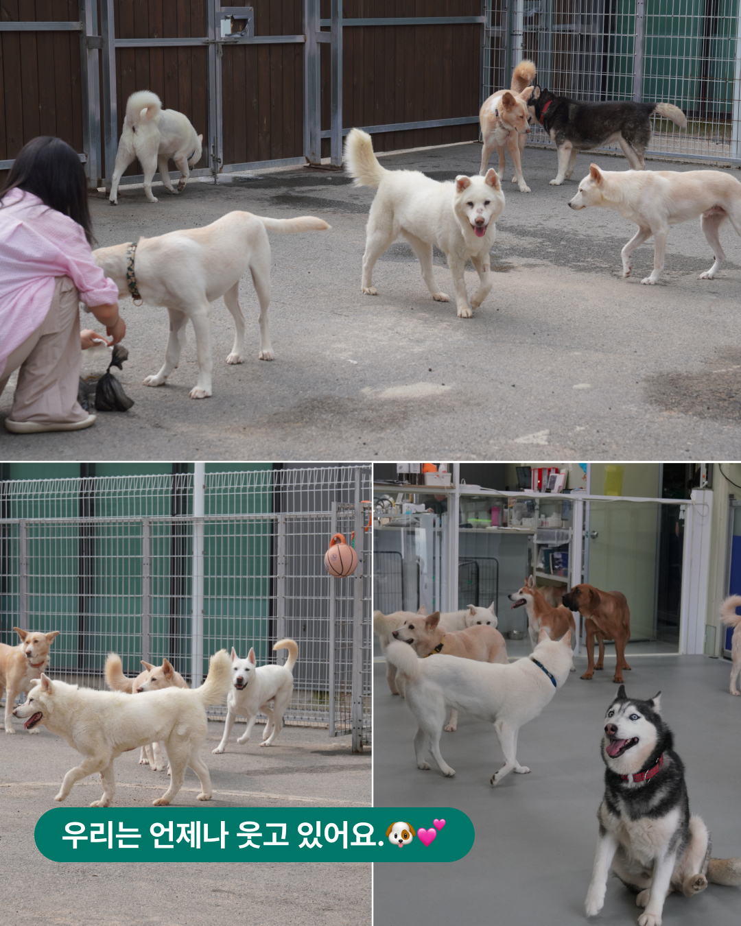 상세 사진 7
