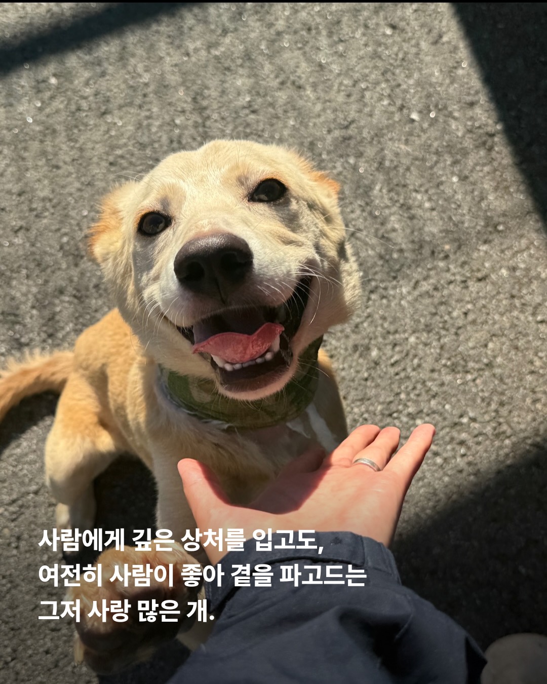 상세 사진 7