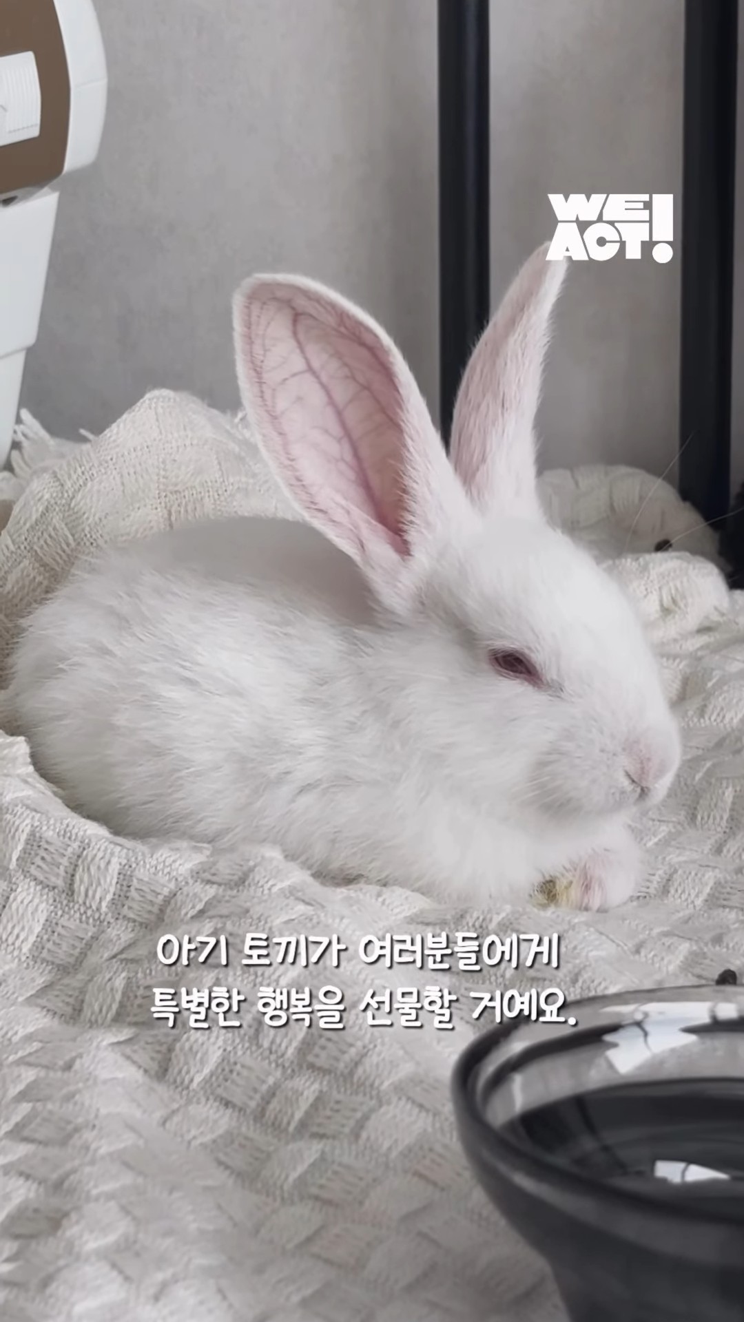 상세 사진 5