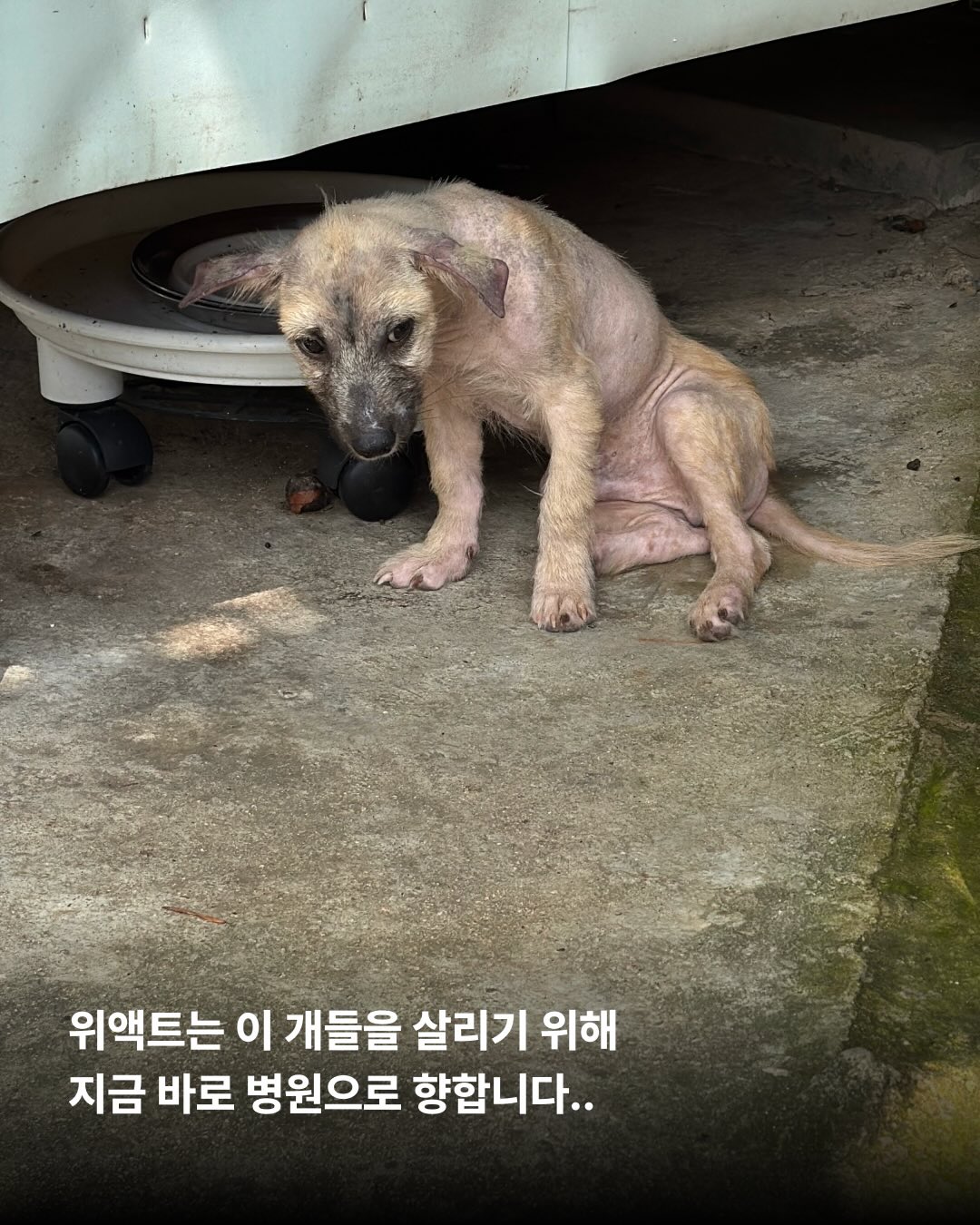 상세 사진 9