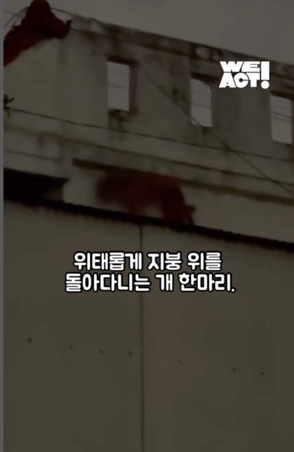 상세 사진 1