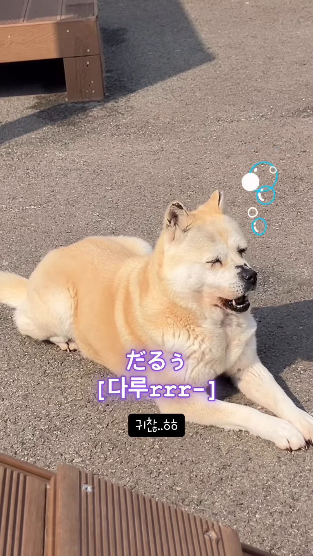 상세 사진 4