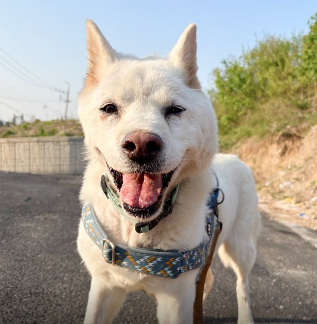 상세 사진 5