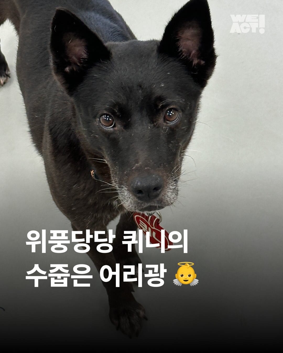 상세 사진 1