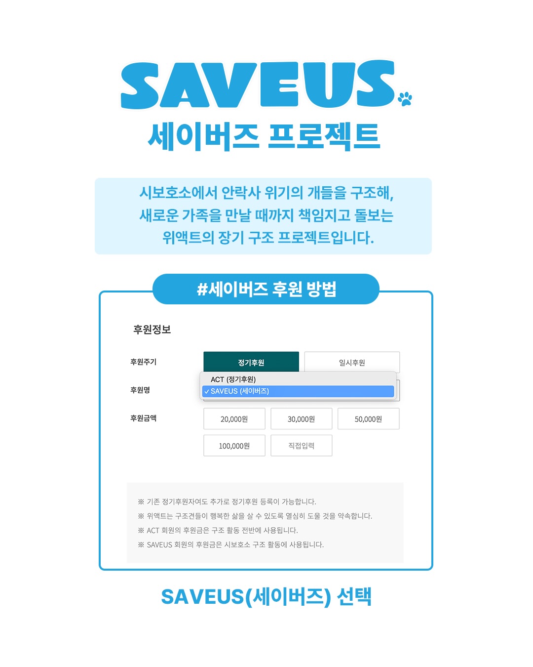 상세 사진 8