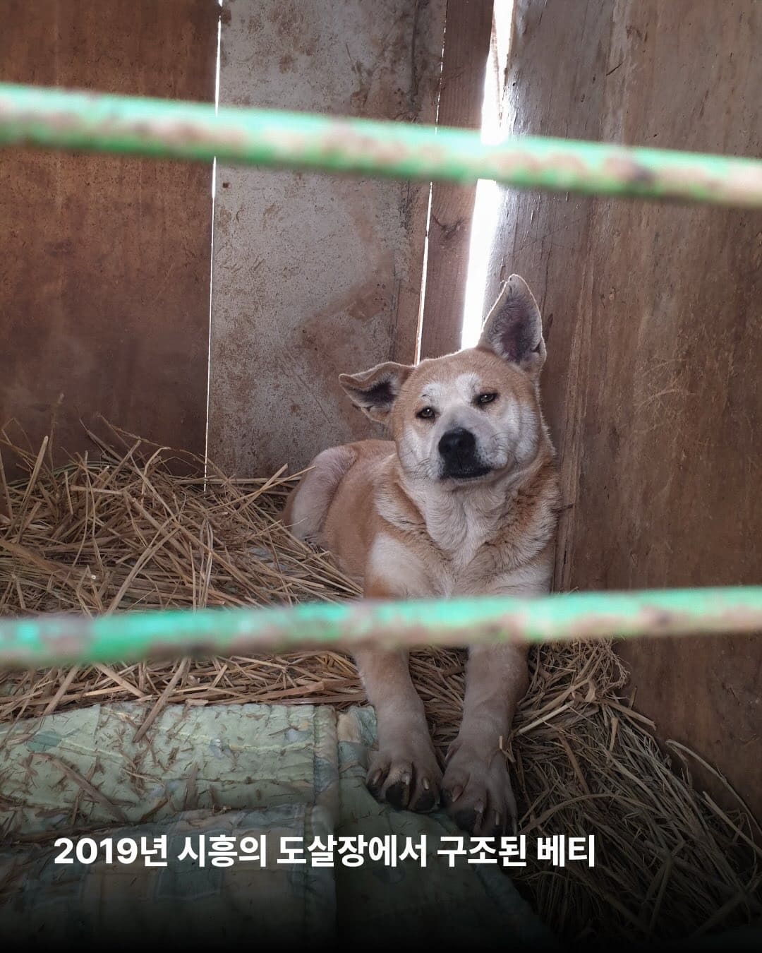 상세 사진 3