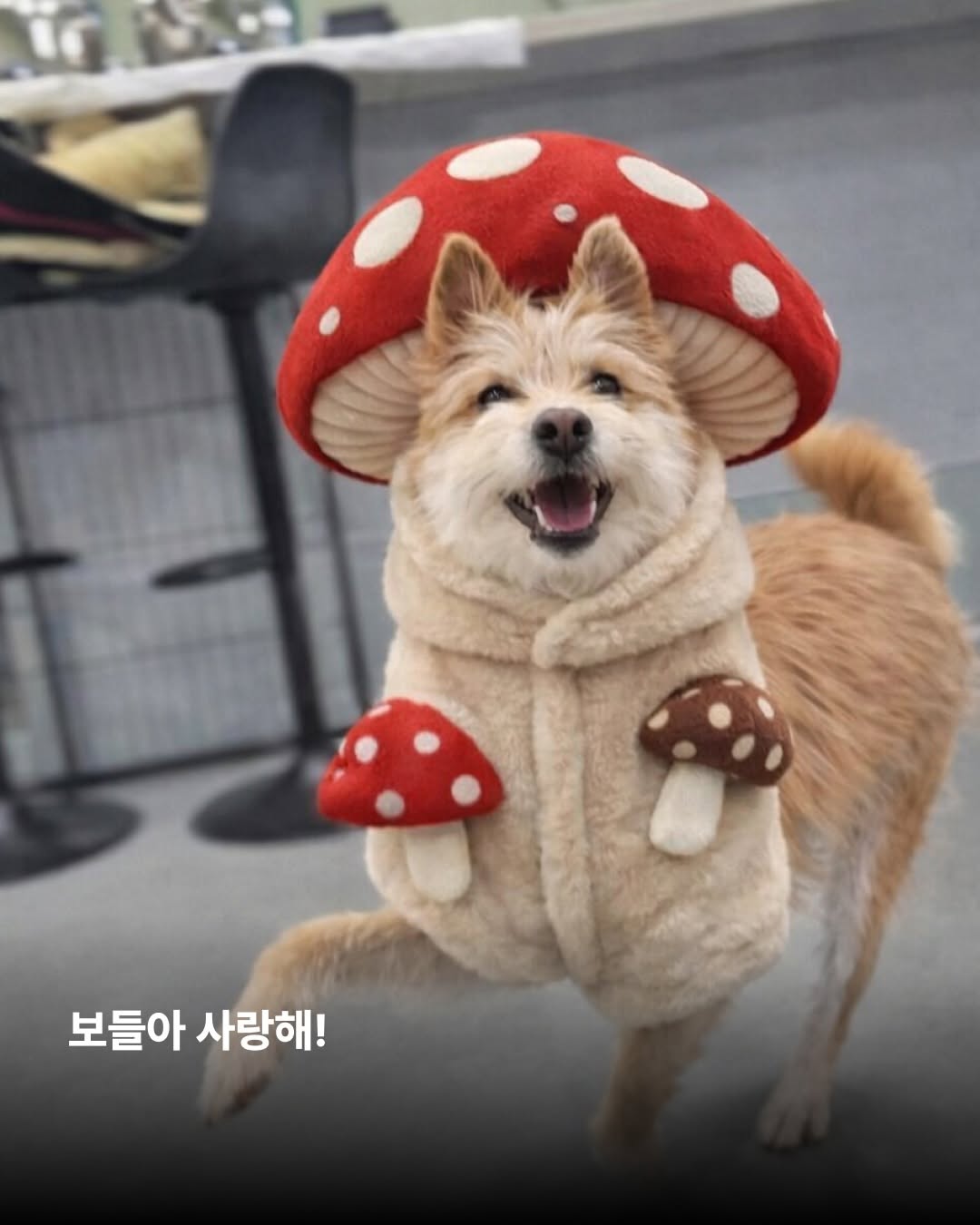 상세 사진 17