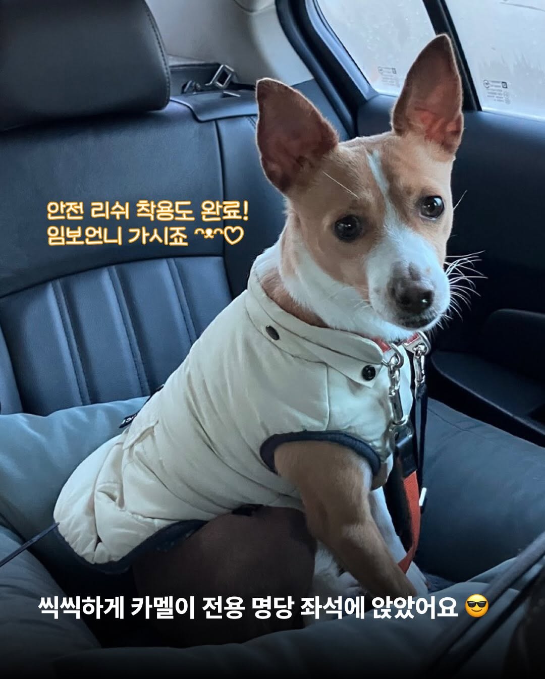 상세 사진 9
