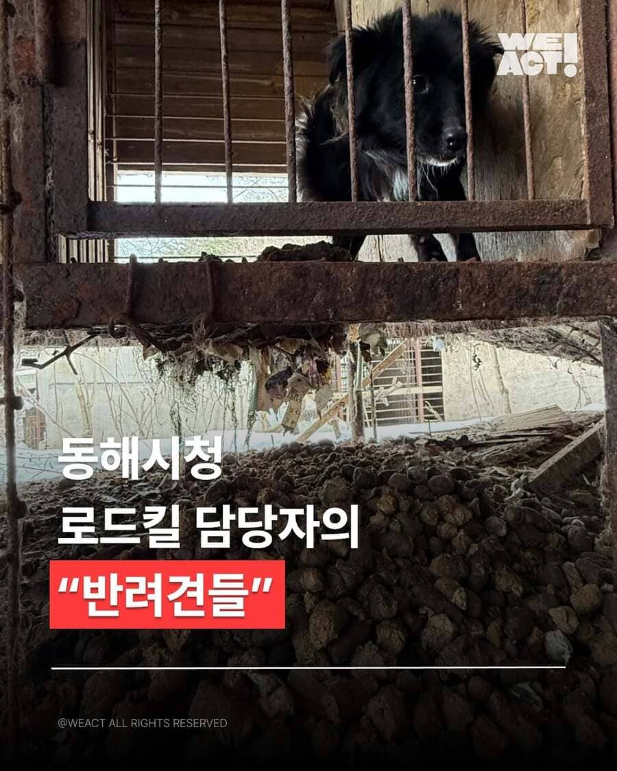 상세 사진 1