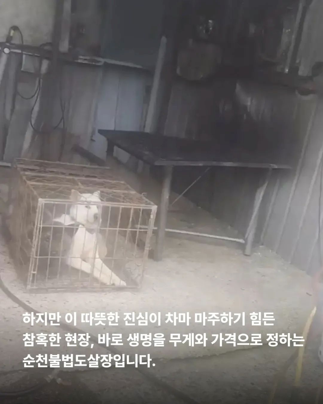 상세 사진 3