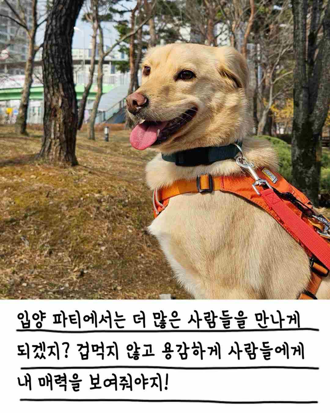 상세 사진 11