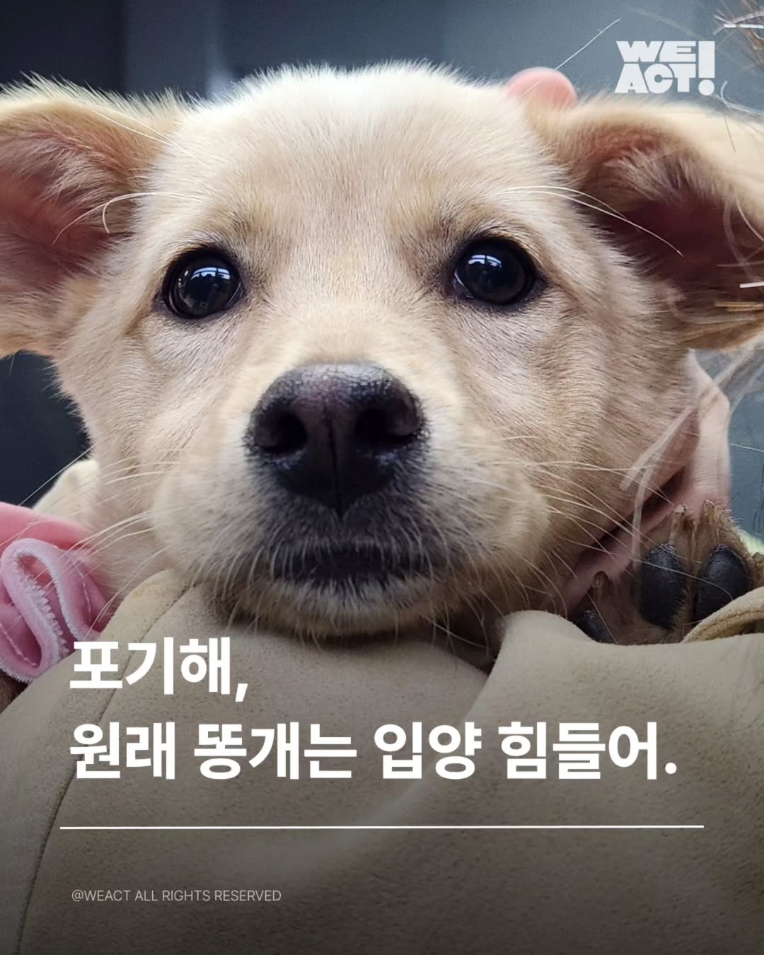 상세 사진 1