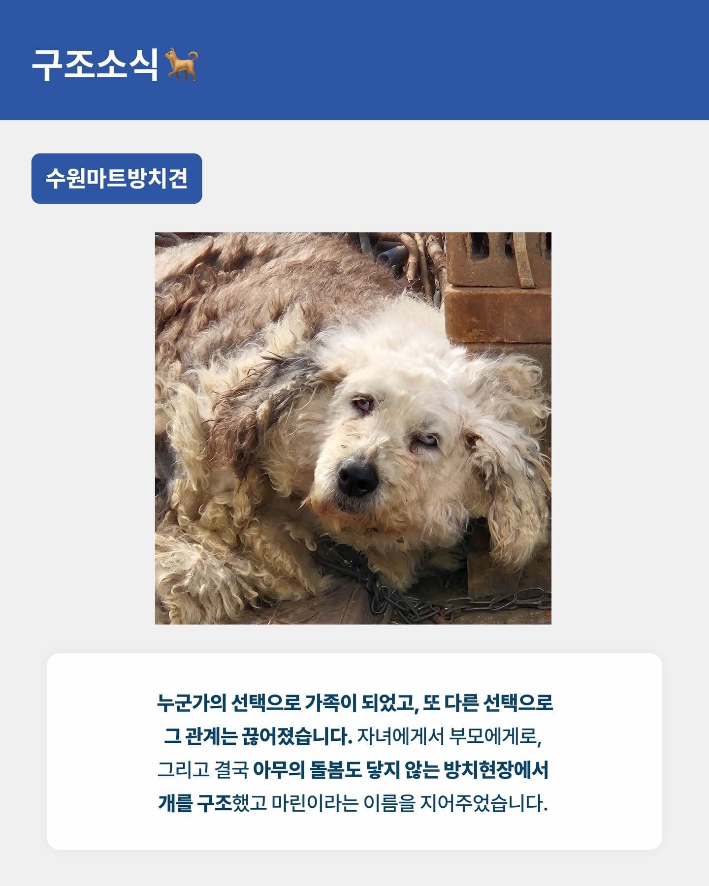 상세 사진 6