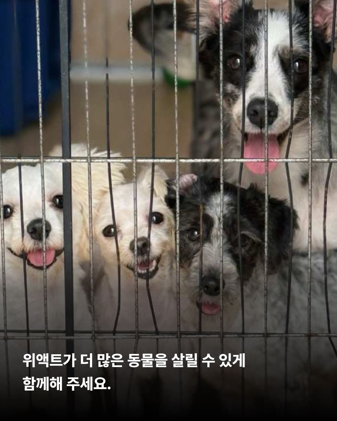 상세 사진 5