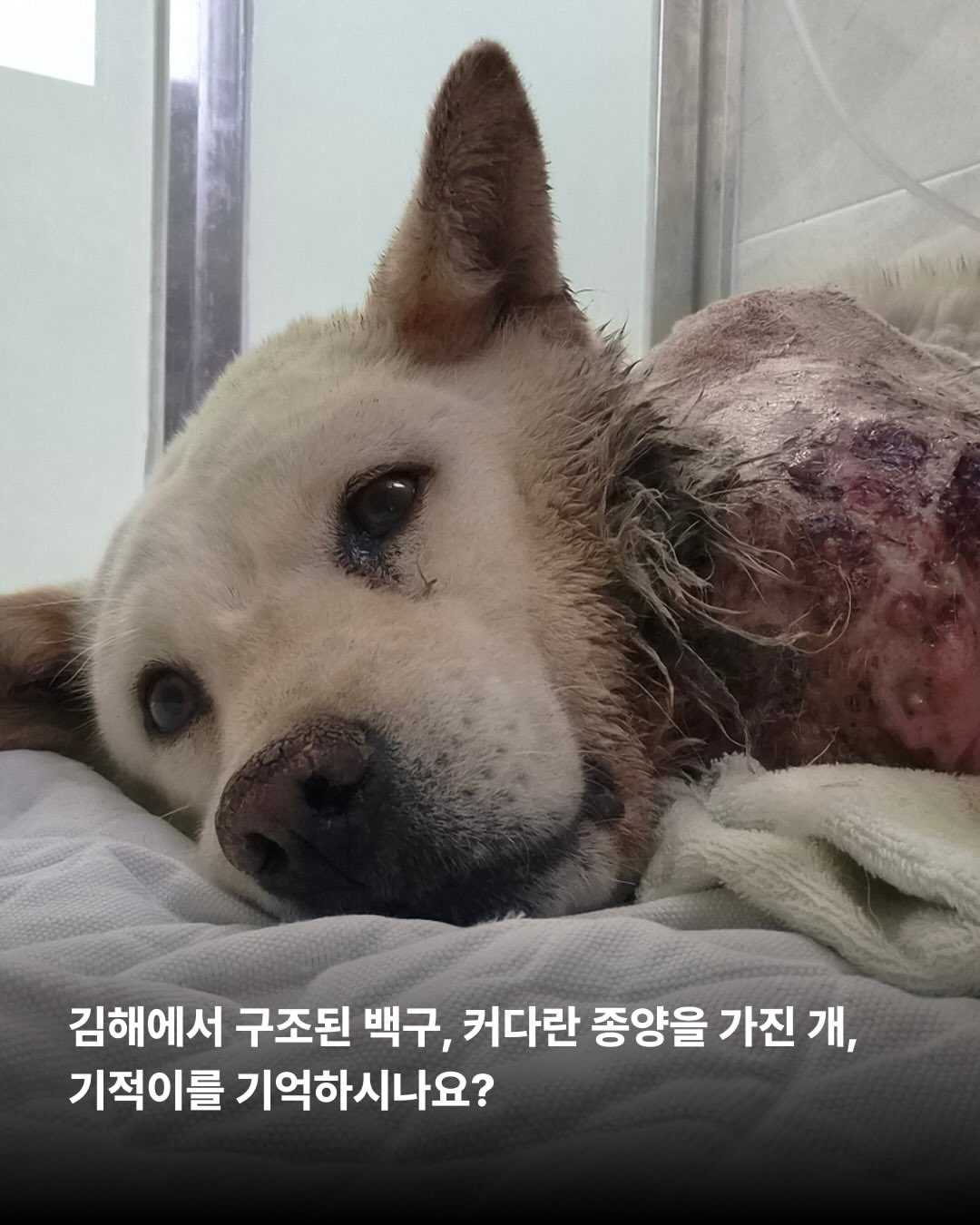 상세 사진 2