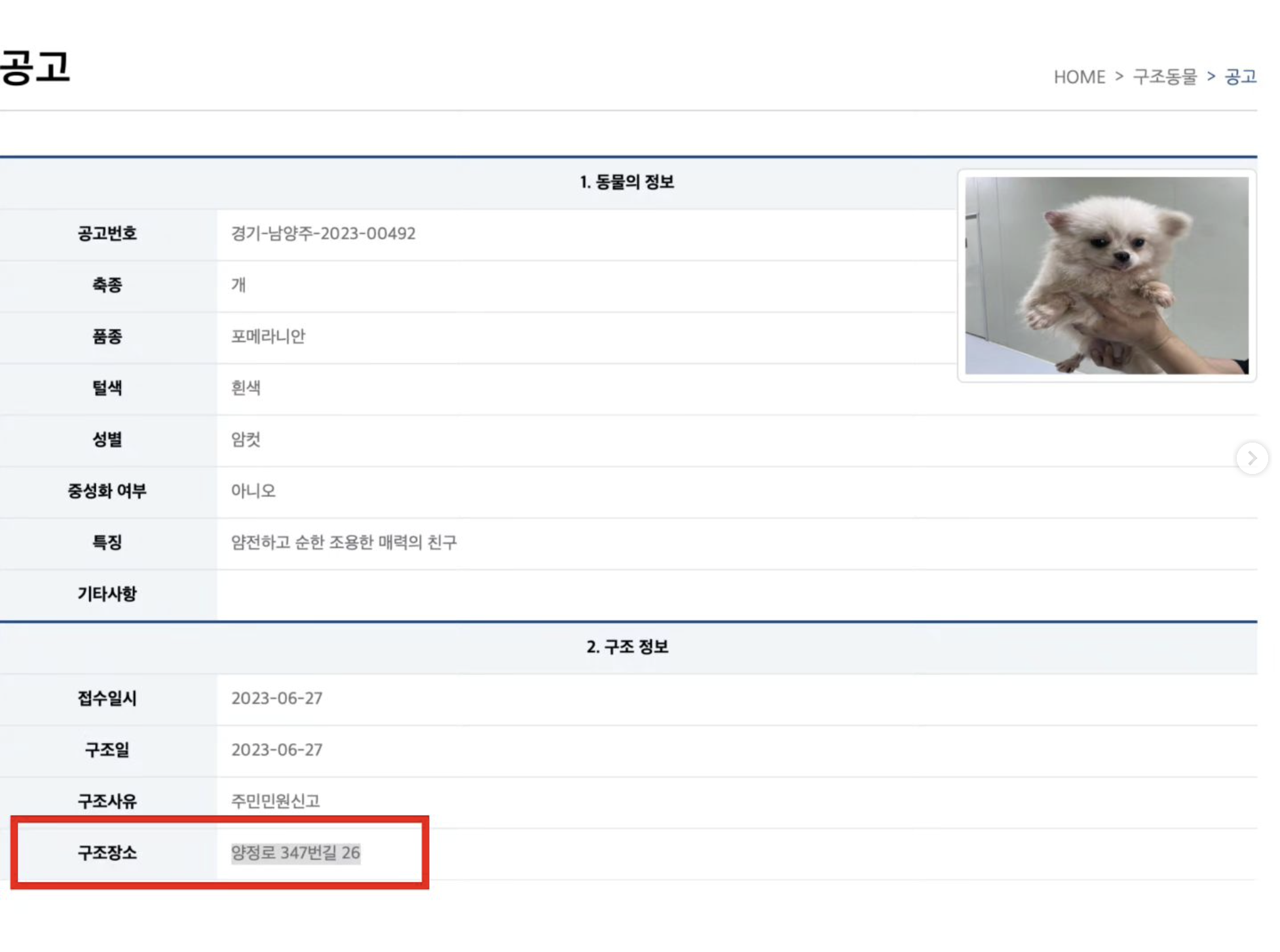 상세 사진 1