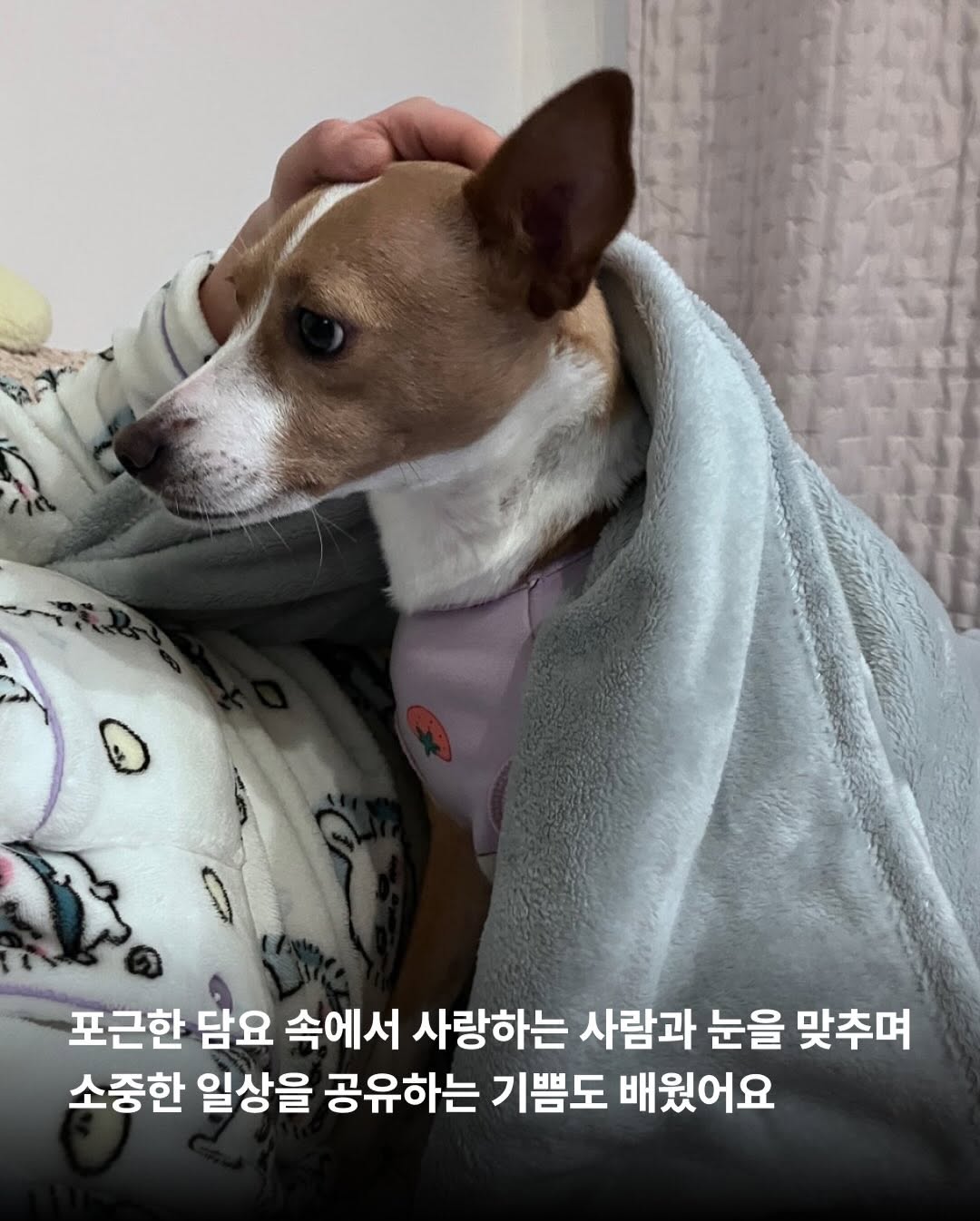 상세 사진 6