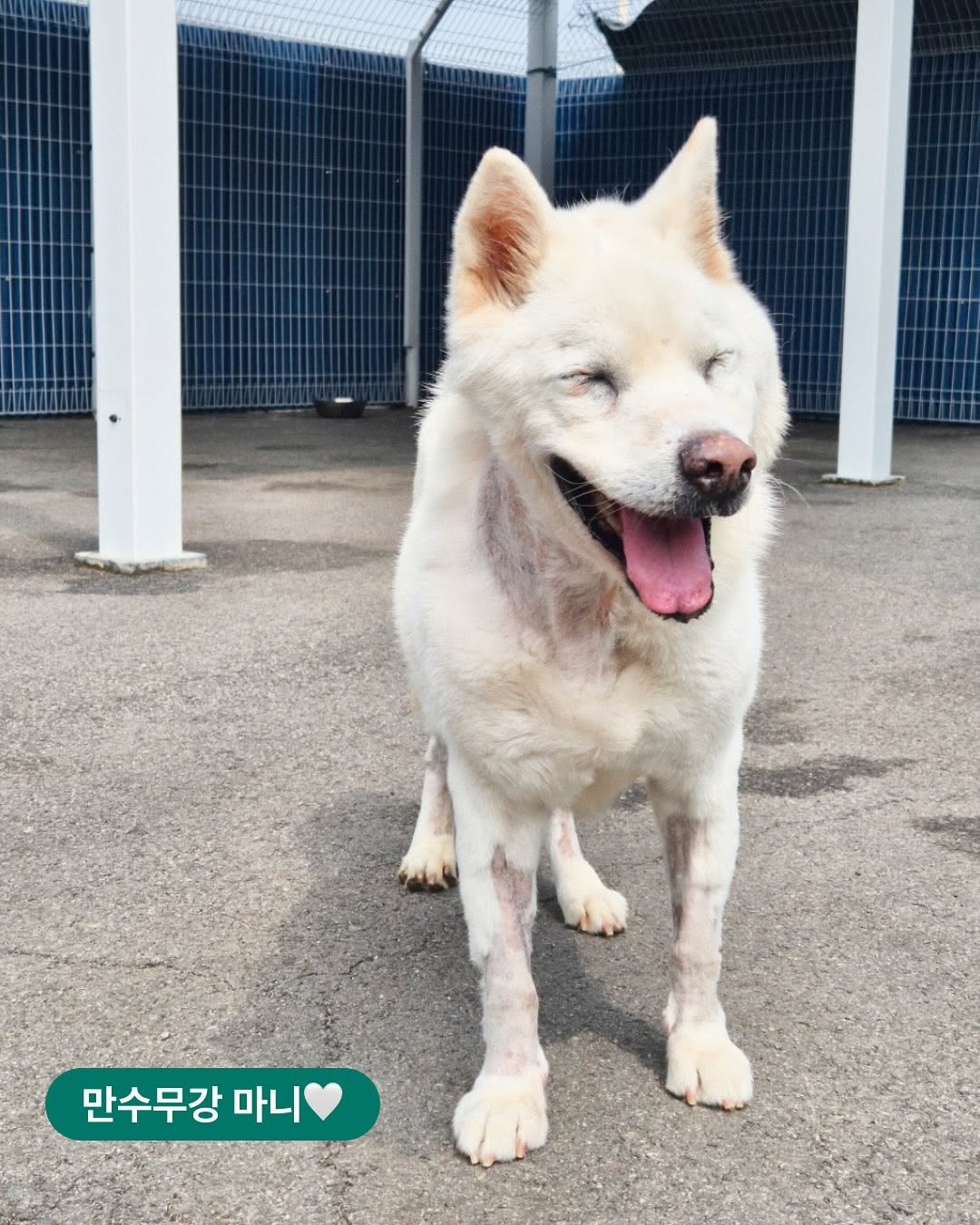 상세 사진 2