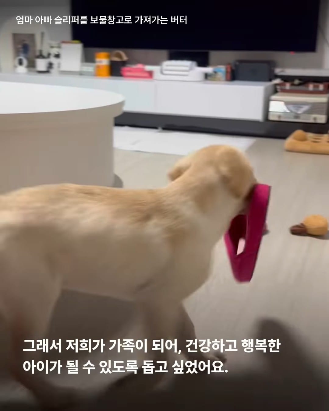 상세 사진 9