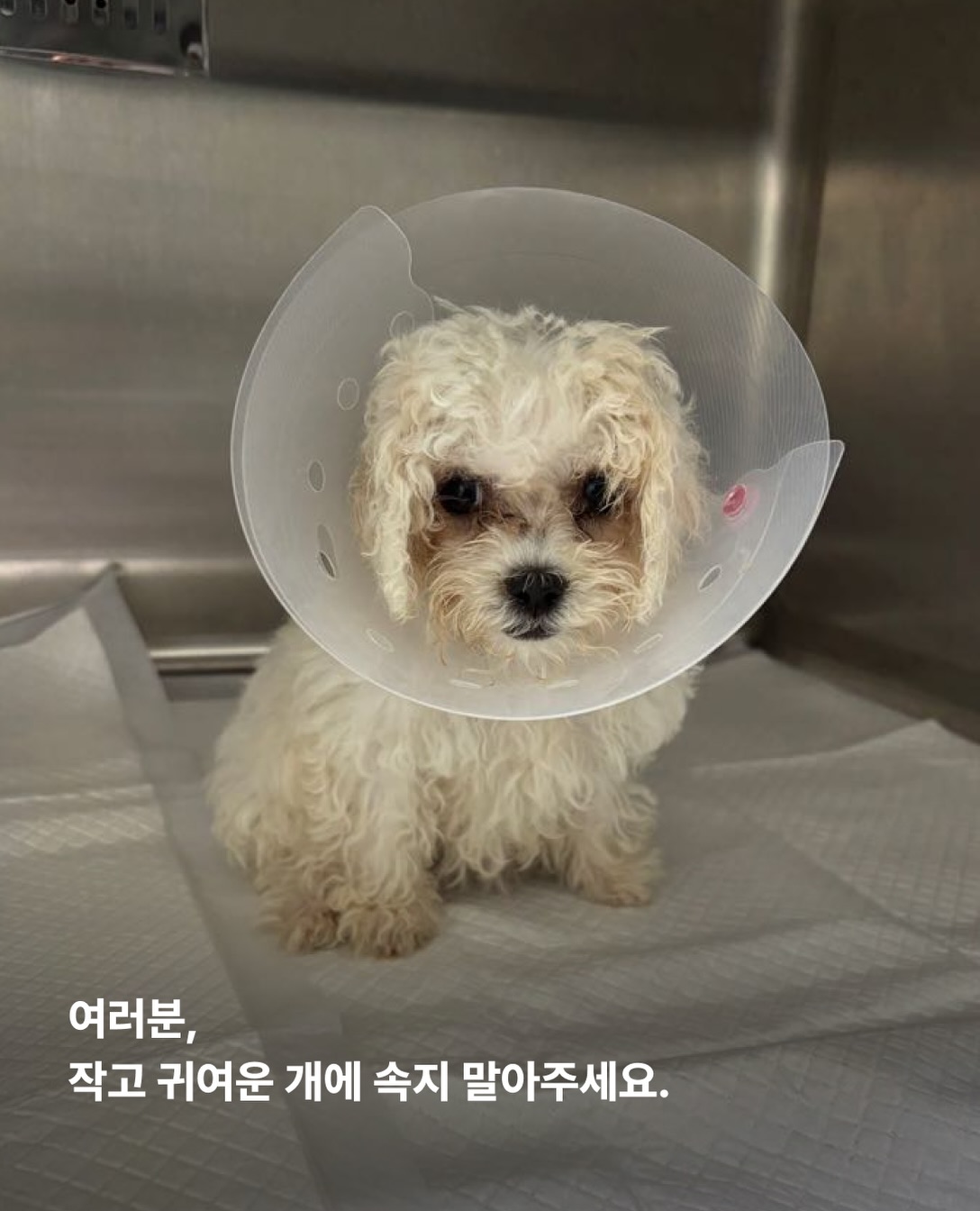 상세 사진 15