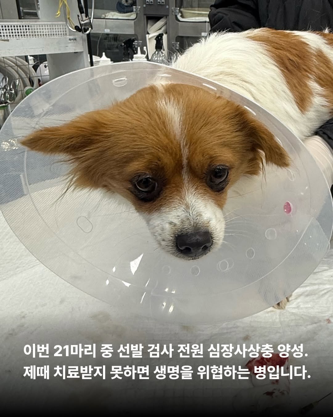 상세 사진 4