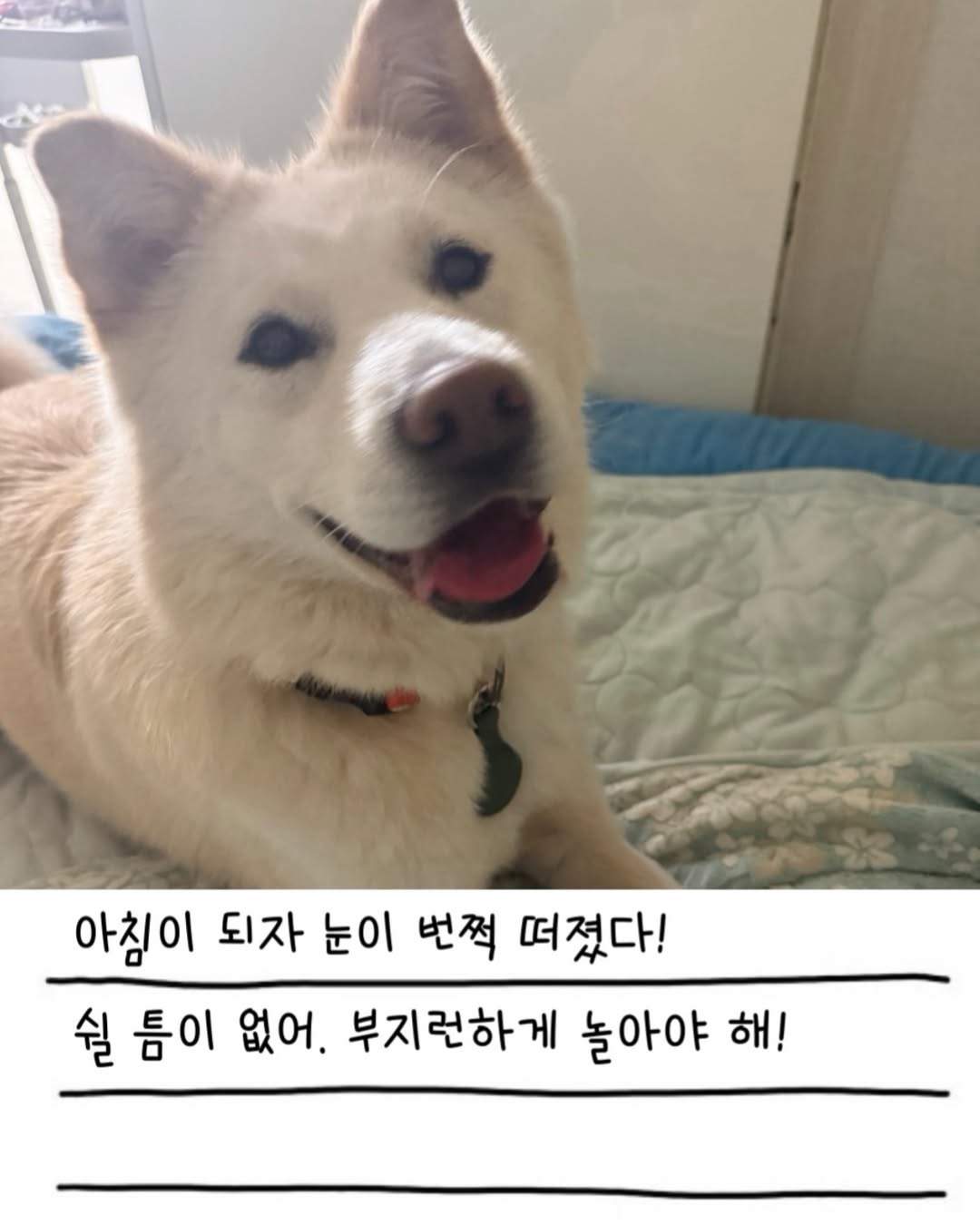 상세 사진 7