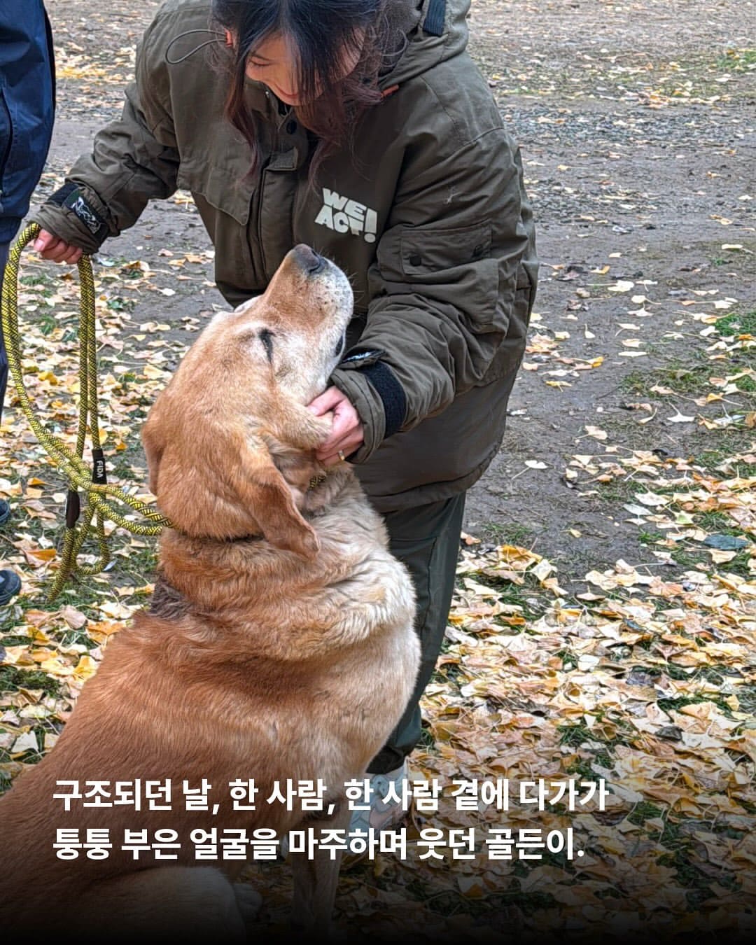 상세 사진 6