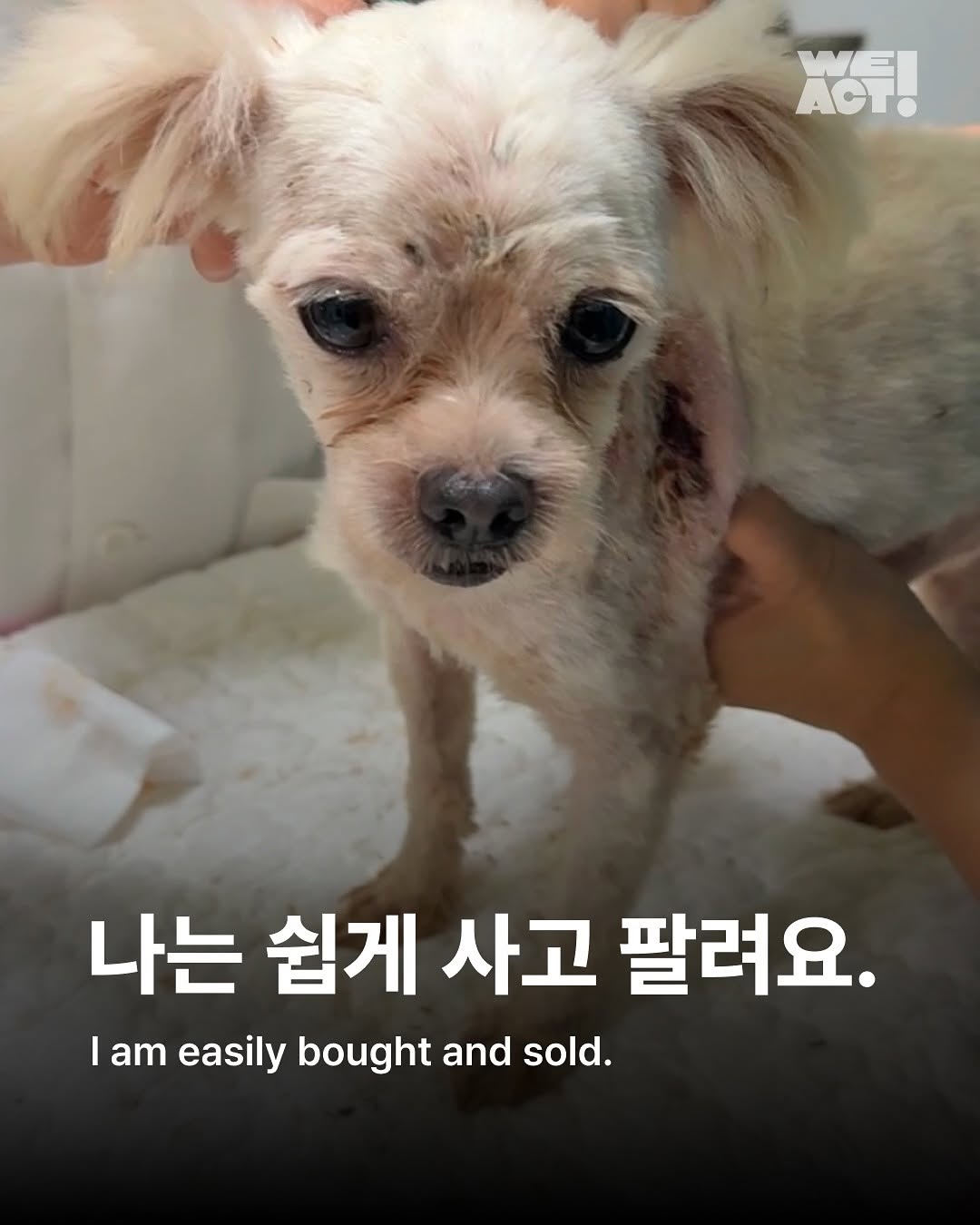 상세 사진 1