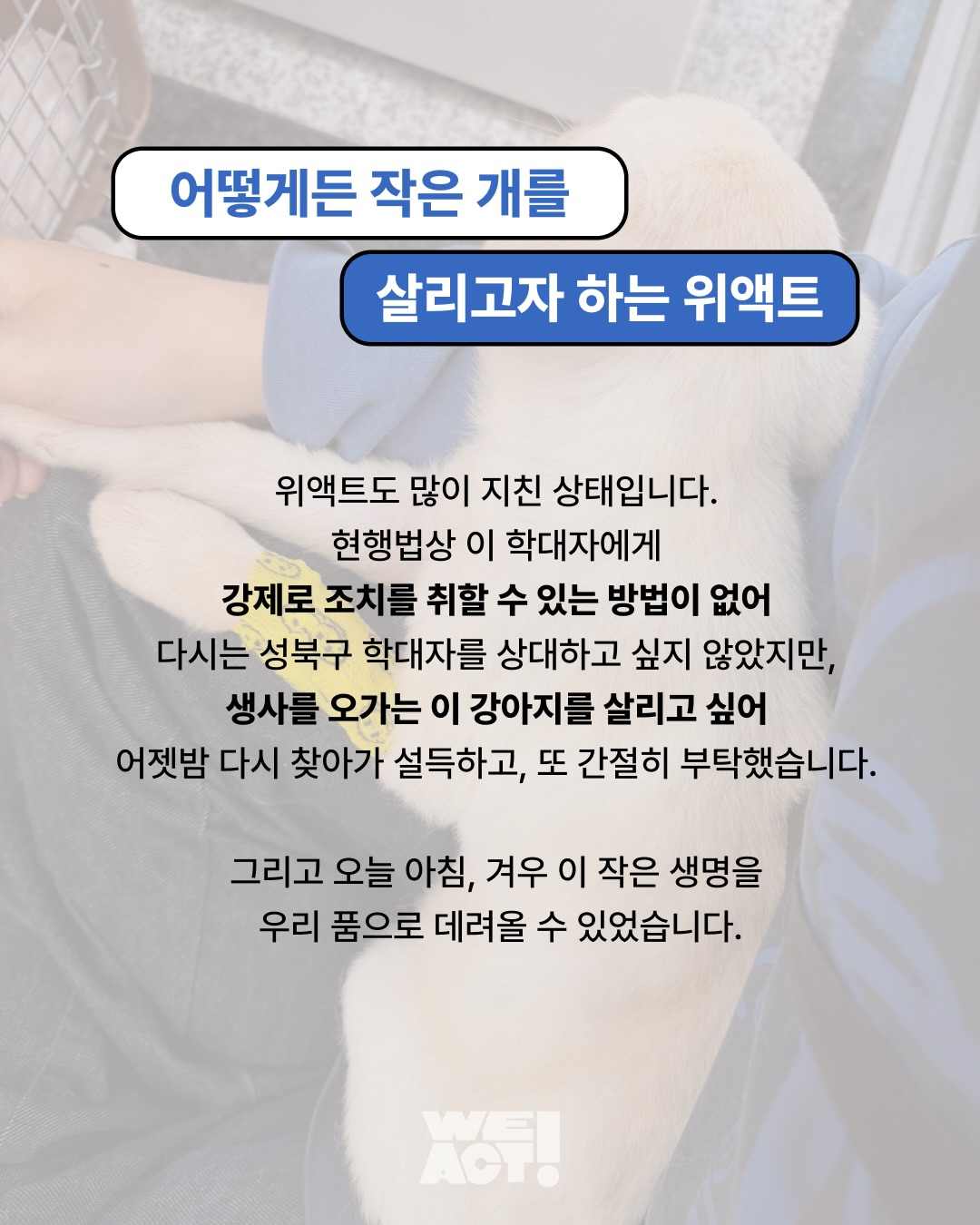 상세 사진 4
