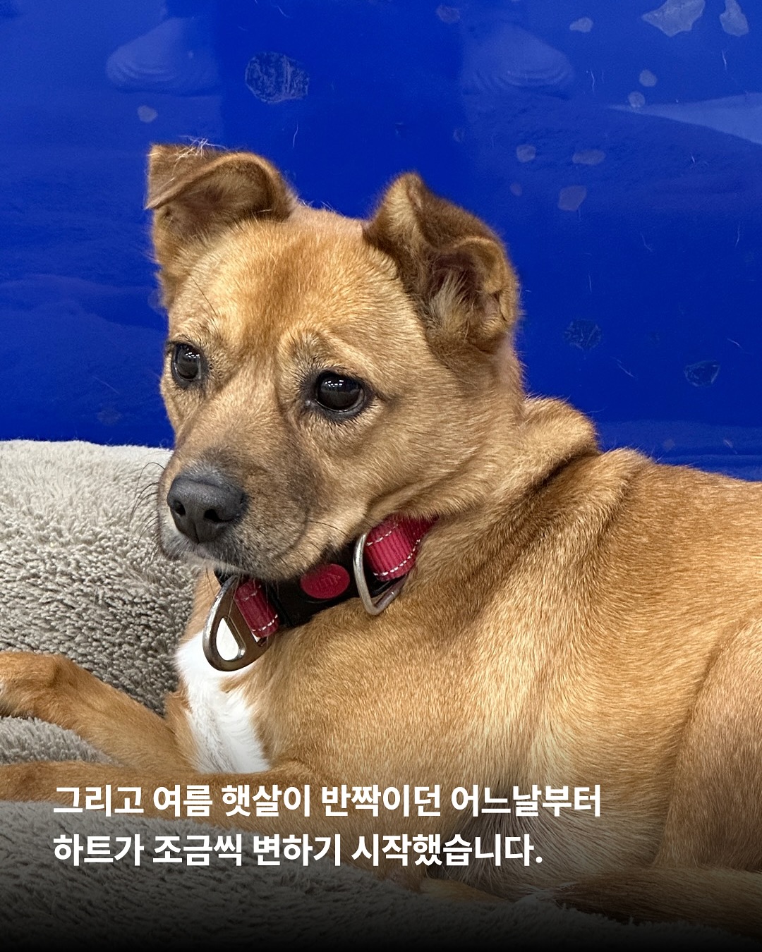상세 사진 6