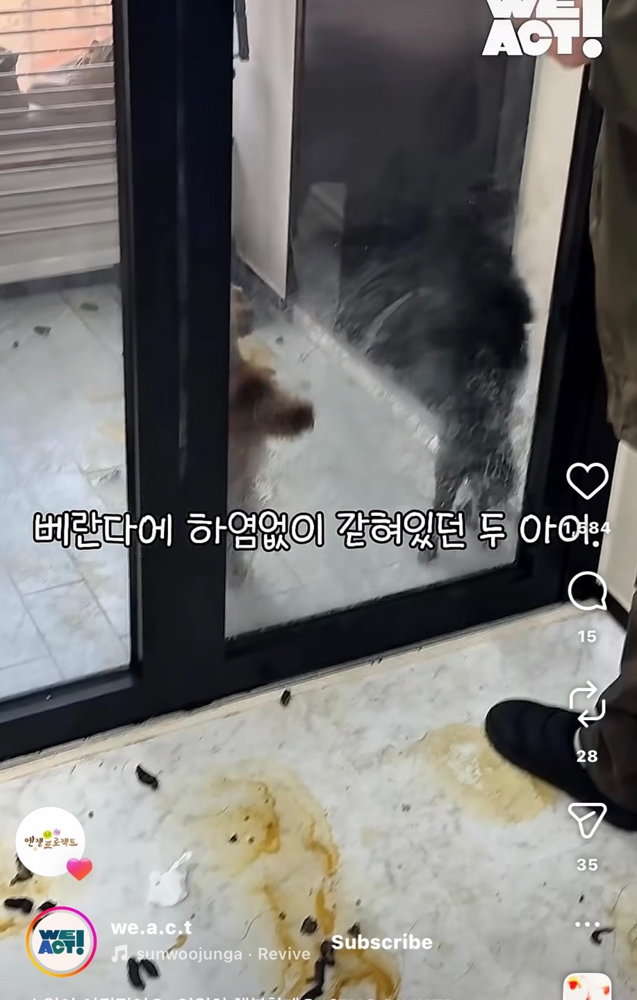 상세 사진 3