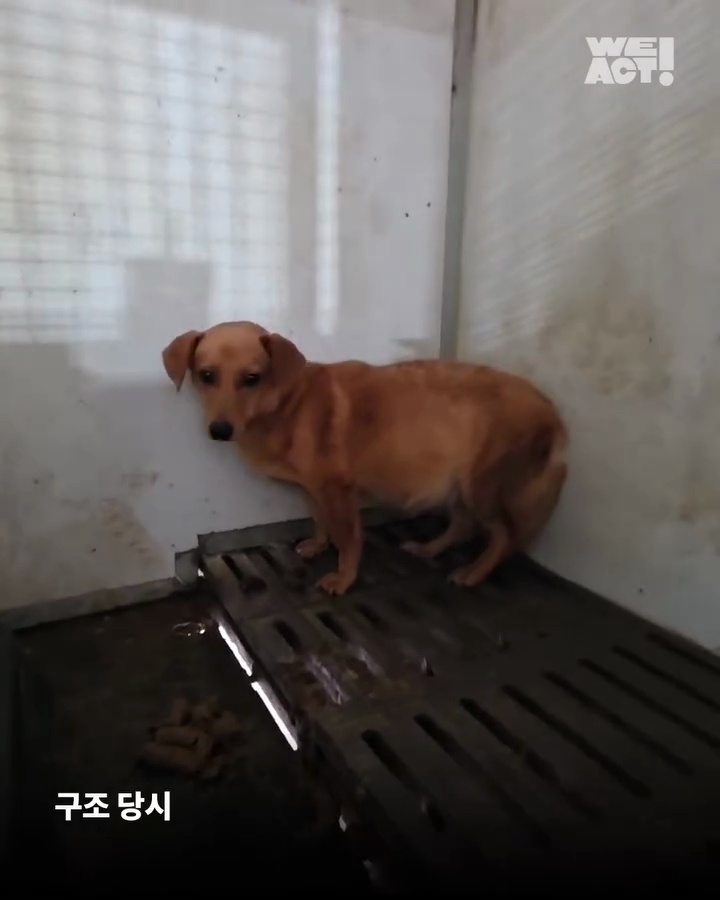 상세 사진 2