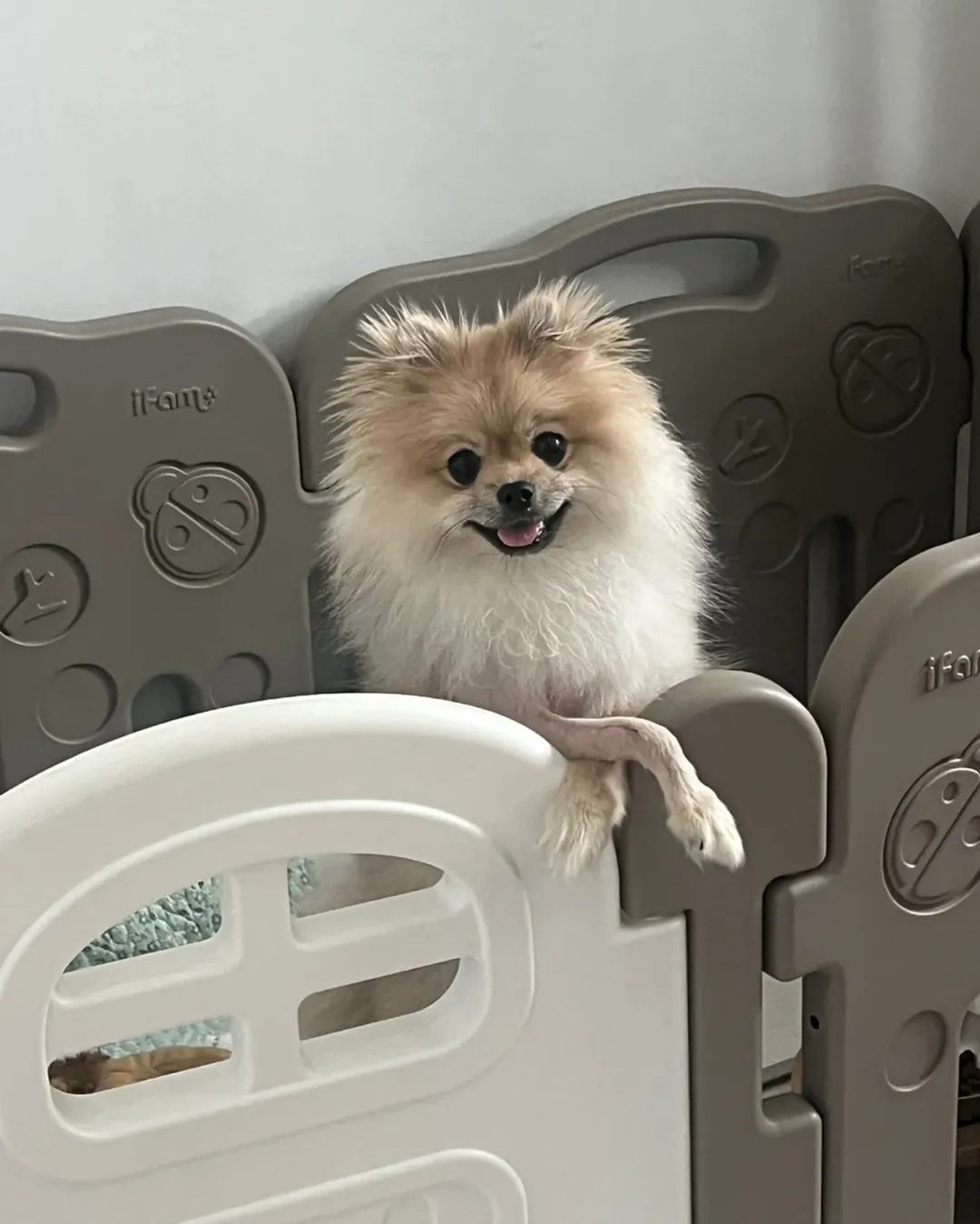 상세 사진 8