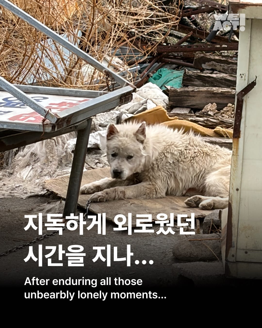 상세 사진 1