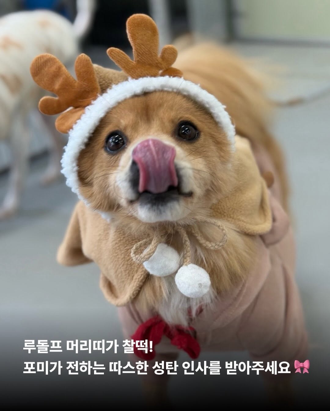 상세 사진 2