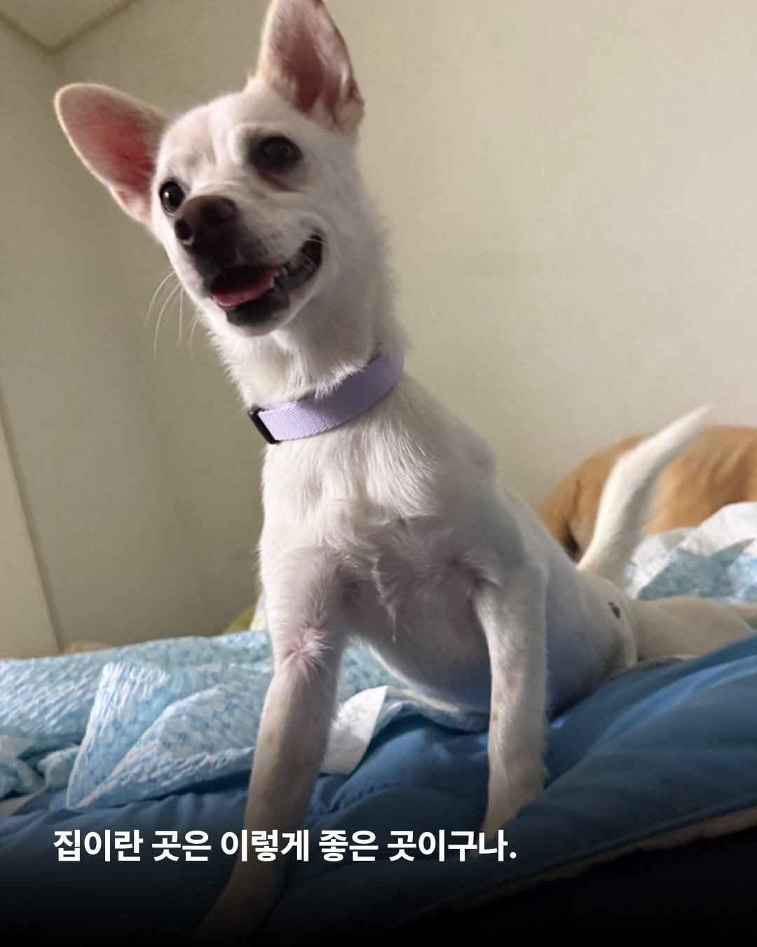 상세 사진 11