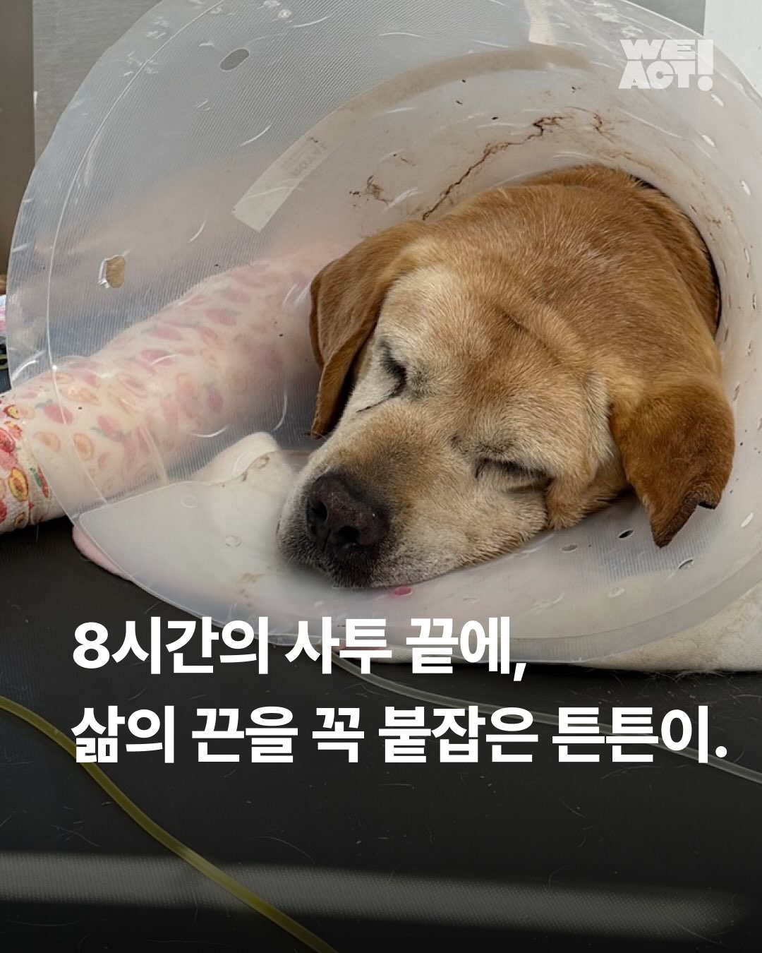상세 사진 1