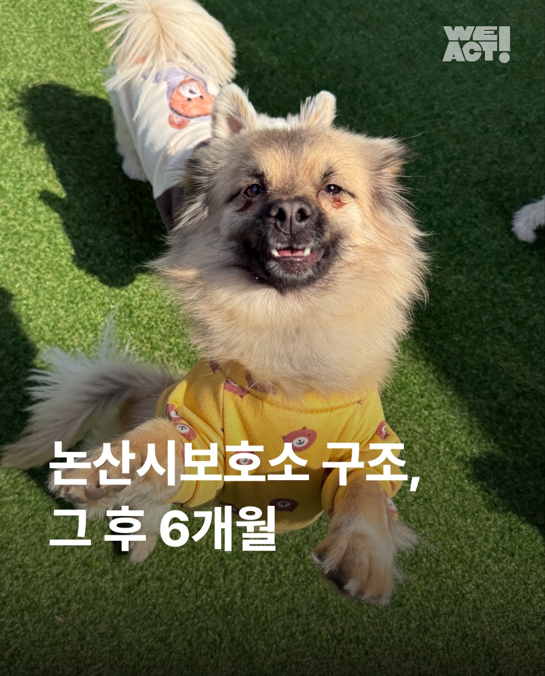 상세 사진 1