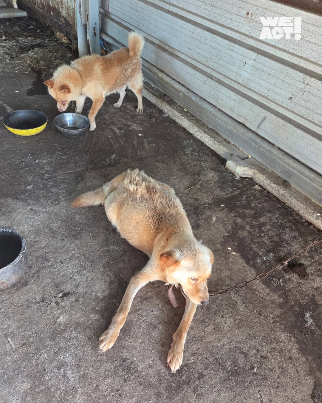 상세 사진 6