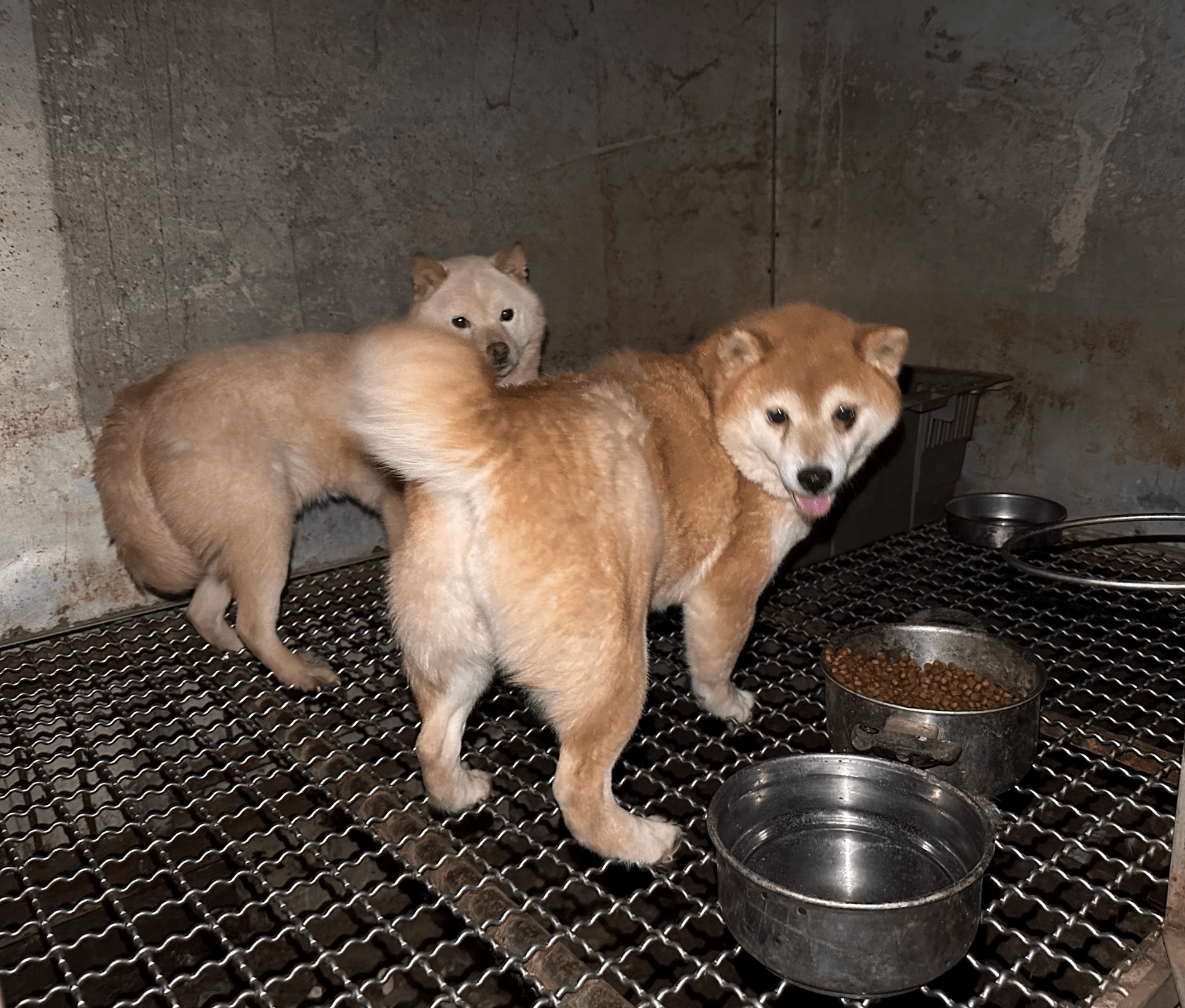 상세 사진 4